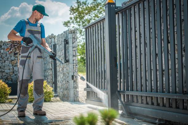 Best Rust Removal  in Staunton, IL