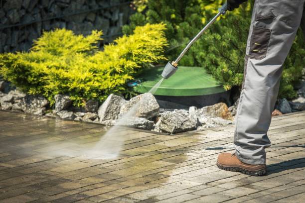 Best Solar Panel Cleaning  in Staunton, IL