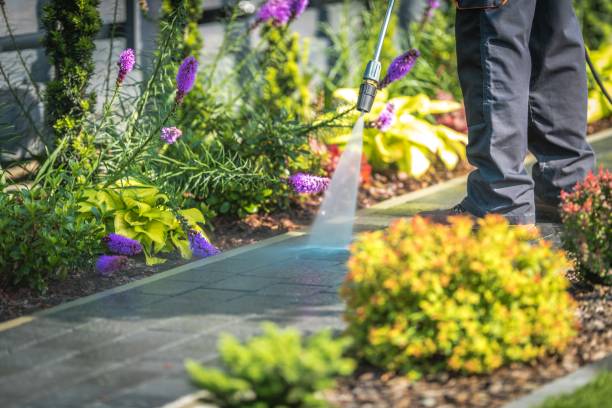 Best Fence Cleaning  in Staunton, IL